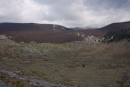 DSC1 (45).jpg